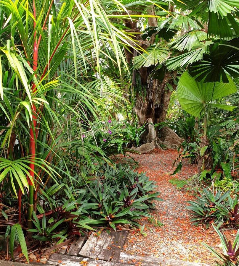 Rainforest Castaways Resort And Spa Мишен-Бич Экстерьер фото
